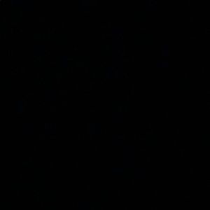 Meet your Posher, Devin